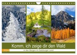 Komm, ich zeige dir den Wald (Wandkalender 2024 DIN A4 quer), CALVENDO Monatskalender