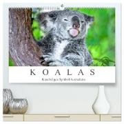 Koalas - Kuscheliges Symbol Australiens (hochwertiger Premium Wandkalender 2024 DIN A2 quer), Kunstdruck in Hochglanz