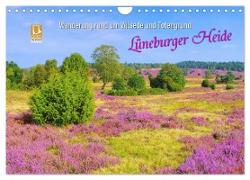Lüneburger Heide - Wanderung rund um Wilsede und Totengrund (Wandkalender 2024 DIN A4 quer), CALVENDO Monatskalender