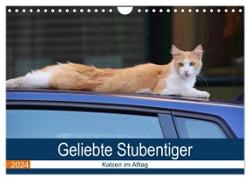 Geliebte Stubentiger - Katzen im Alltag (Wandkalender 2024 DIN A4 quer), CALVENDO Monatskalender