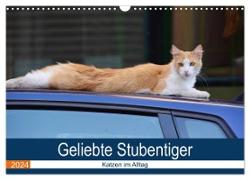 Geliebte Stubentiger - Katzen im Alltag (Wandkalender 2024 DIN A3 quer), CALVENDO Monatskalender