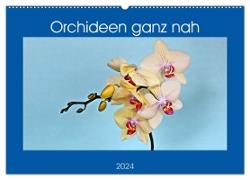 Orchideen ganz nah (Wandkalender 2024 DIN A2 quer), CALVENDO Monatskalender