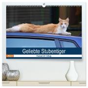 Geliebte Stubentiger - Katzen im Alltag (hochwertiger Premium Wandkalender 2024 DIN A2 quer), Kunstdruck in Hochglanz