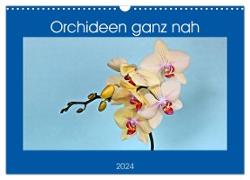 Orchideen ganz nah (Wandkalender 2024 DIN A3 quer), CALVENDO Monatskalender