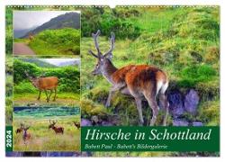 Hirsche in Schottland (Wandkalender 2024 DIN A2 quer), CALVENDO Monatskalender