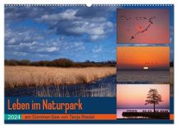 Leben am Naturpark um den Dümmer See (Wandkalender 2024 DIN A2 quer), CALVENDO Monatskalender