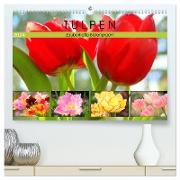 Tulpen. Zauberhafte Blütenpracht (hochwertiger Premium Wandkalender 2024 DIN A2 quer), Kunstdruck in Hochglanz