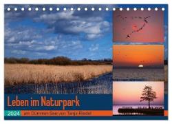 Leben am Naturpark um den Dümmer See (Tischkalender 2024 DIN A5 quer), CALVENDO Monatskalender