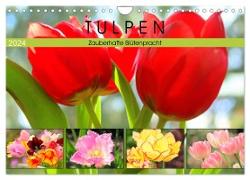 Tulpen. Zauberhafte Blütenpracht (Wandkalender 2024 DIN A4 quer), CALVENDO Monatskalender