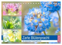 Zarte Blütenpracht. Die lieblichsten Frühlingsblumen (Tischkalender 2024 DIN A5 quer), CALVENDO Monatskalender