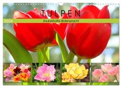Tulpen. Zauberhafte Blütenpracht (Wandkalender 2024 DIN A3 quer), CALVENDO Monatskalender