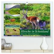 Hirsche in Schottland (hochwertiger Premium Wandkalender 2024 DIN A2 quer), Kunstdruck in Hochglanz