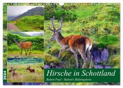 Hirsche in Schottland (Wandkalender 2024 DIN A3 quer), CALVENDO Monatskalender
