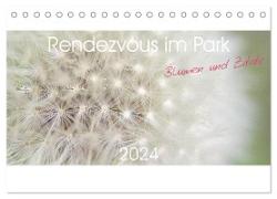 Rendezvous im Park (Tischkalender 2024 DIN A5 quer), CALVENDO Monatskalender
