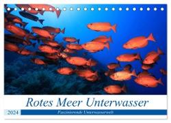 Rotes Meer Unterwasser (Tischkalender 2024 DIN A5 quer), CALVENDO Monatskalender