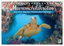 Meeresschildkröten: Aus den blauen Tiefen der Ozeane (Tischkalender 2024 DIN A5 quer), CALVENDO Monatskalender