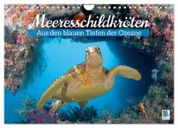 Meeresschildkröten: Aus den blauen Tiefen der Ozeane (Wandkalender 2024 DIN A4 quer), CALVENDO Monatskalender