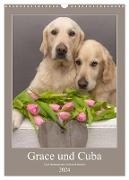 Grace und Cuba - Zwei liebenswerte Golden Retriever (Wandkalender 2024 DIN A3 hoch), CALVENDO Monatskalender