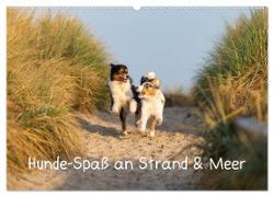 Hunde-Spaß an Strand & Meer (Wandkalender 2024 DIN A2 quer), CALVENDO Monatskalender