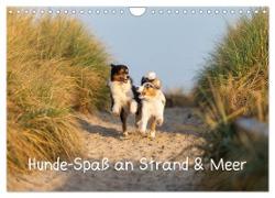 Hunde-Spaß an Strand & Meer (Wandkalender 2024 DIN A4 quer), CALVENDO Monatskalender