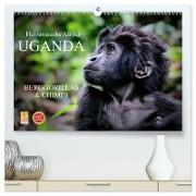 UGANDA - Berggorillas & Chimps (hochwertiger Premium Wandkalender 2024 DIN A2 quer), Kunstdruck in Hochglanz