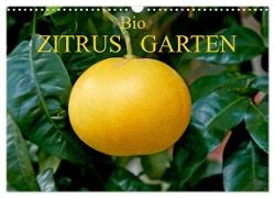 Bio Zitrus Garten (Wandkalender 2024 DIN A3 quer), CALVENDO Monatskalender