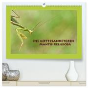 Die Gottesanbeterin Mantis Religiosa (hochwertiger Premium Wandkalender 2024 DIN A2 quer), Kunstdruck in Hochglanz