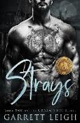 Strays: Angsty Gay Romance