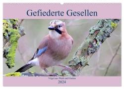 Gefiederte Gesellen - Vögel aus Wald und Garten (Wandkalender 2024 DIN A2 quer), CALVENDO Monatskalender