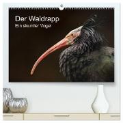 Der Waldrapp - Ein skurriler Vogel (hochwertiger Premium Wandkalender 2024 DIN A2 quer), Kunstdruck in Hochglanz