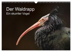 Der Waldrapp - Ein skurriler Vogel (Wandkalender 2024 DIN A3 quer), CALVENDO Monatskalender