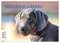 Weimaraner-Labrador (Tischkalender 2024 DIN A5 quer), CALVENDO Monatskalender