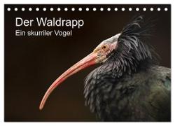 Der Waldrapp - Ein skurriler Vogel (Tischkalender 2024 DIN A5 quer), CALVENDO Monatskalender