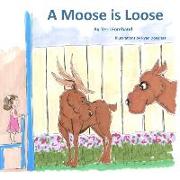 A Moose is Loose