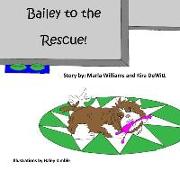 Bailey to the Rescue!