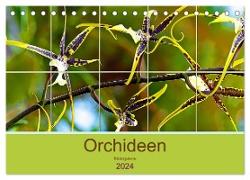 Orchideen Bildergalerie (Tischkalender 2024 DIN A5 quer), CALVENDO Monatskalender