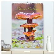 Pilze in Hochform (hochwertiger Premium Wandkalender 2024 DIN A2 hoch), Kunstdruck in Hochglanz