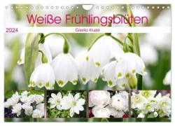 Weiße Frühlingsblüten (Wandkalender 2024 DIN A4 quer), CALVENDO Monatskalender