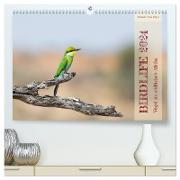 Birdlife - Vögel im südlichen Afrika (hochwertiger Premium Wandkalender 2024 DIN A2 quer), Kunstdruck in Hochglanz