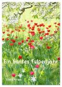 Ein buntes Tulpenjahr (Tischkalender 2024 DIN A5 hoch), CALVENDO Monatskalender