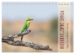 Birdlife - Vögel im südlichen Afrika (Tischkalender 2024 DIN A5 quer), CALVENDO Monatskalender