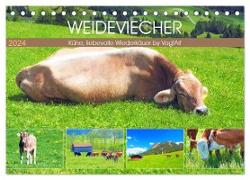 Weideviecher, Kühe liebevolle Wiederkäuer (Tischkalender 2024 DIN A5 quer), CALVENDO Monatskalender