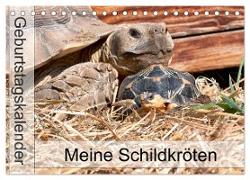 Meine Schildkröten - Geburtstagskalender (Tischkalender 2024 DIN A5 quer), CALVENDO Monatskalender