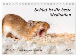 Schlaf ist die beste Meditation (Tischkalender 2024 DIN A5 quer), CALVENDO Monatskalender