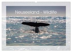 Neuseeland - Wildlife (Wandkalender 2024 DIN A2 quer), CALVENDO Monatskalender