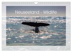 Neuseeland - Wildlife (Wandkalender 2024 DIN A4 quer), CALVENDO Monatskalender
