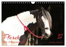 Pferde - eine Herzenssache (Wandkalender 2024 DIN A4 quer), CALVENDO Monatskalender