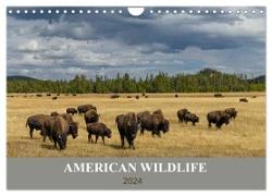 American Wildlife (Wandkalender 2024 DIN A4 quer), CALVENDO Monatskalender