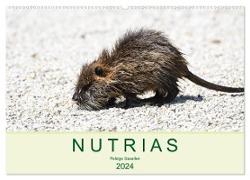NUTRIAS - Pelzige Gesellen (Wandkalender 2024 DIN A2 quer), CALVENDO Monatskalender