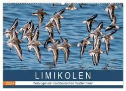 Limikolen - Watvögel am norddeutschen Wattenmeer (Wandkalender 2024 DIN A2 quer), CALVENDO Monatskalender